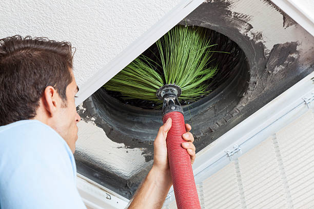 Air Duct Mold Removal in Seward, NE